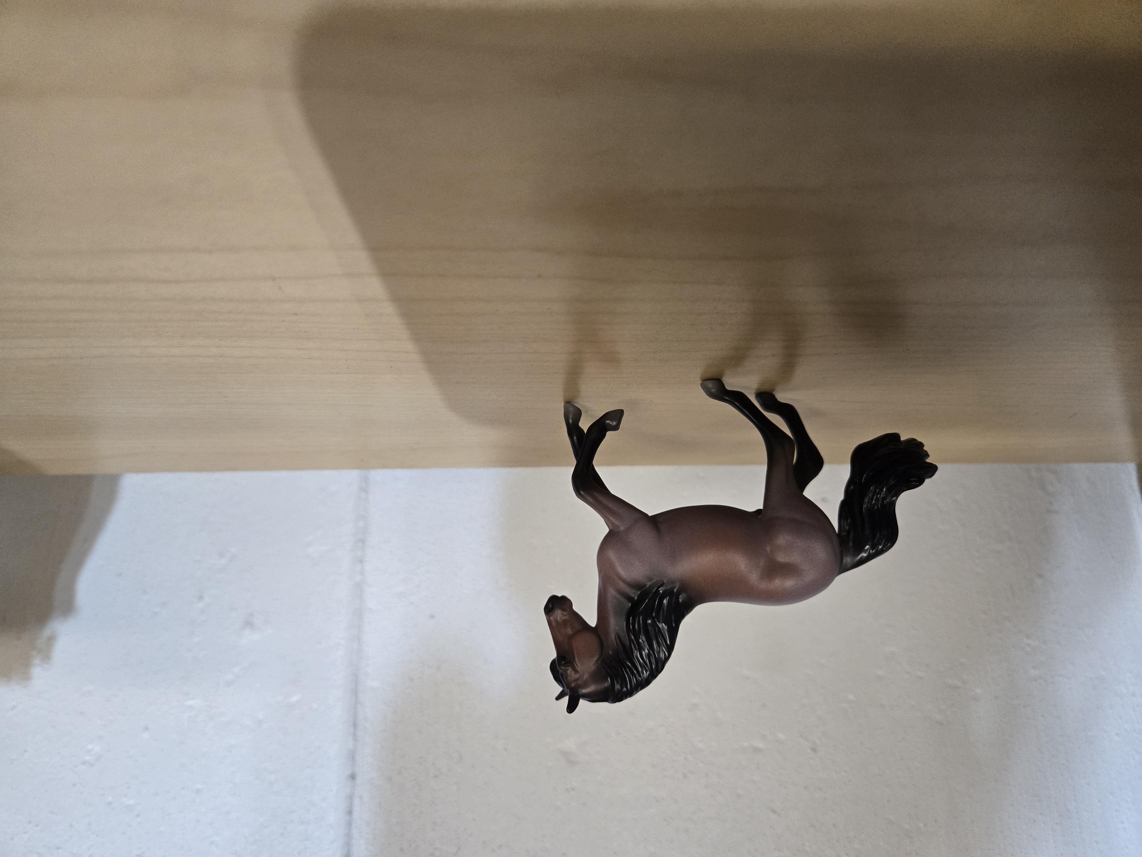 2025 TSC Stablemates SR #10337-LA-morgan