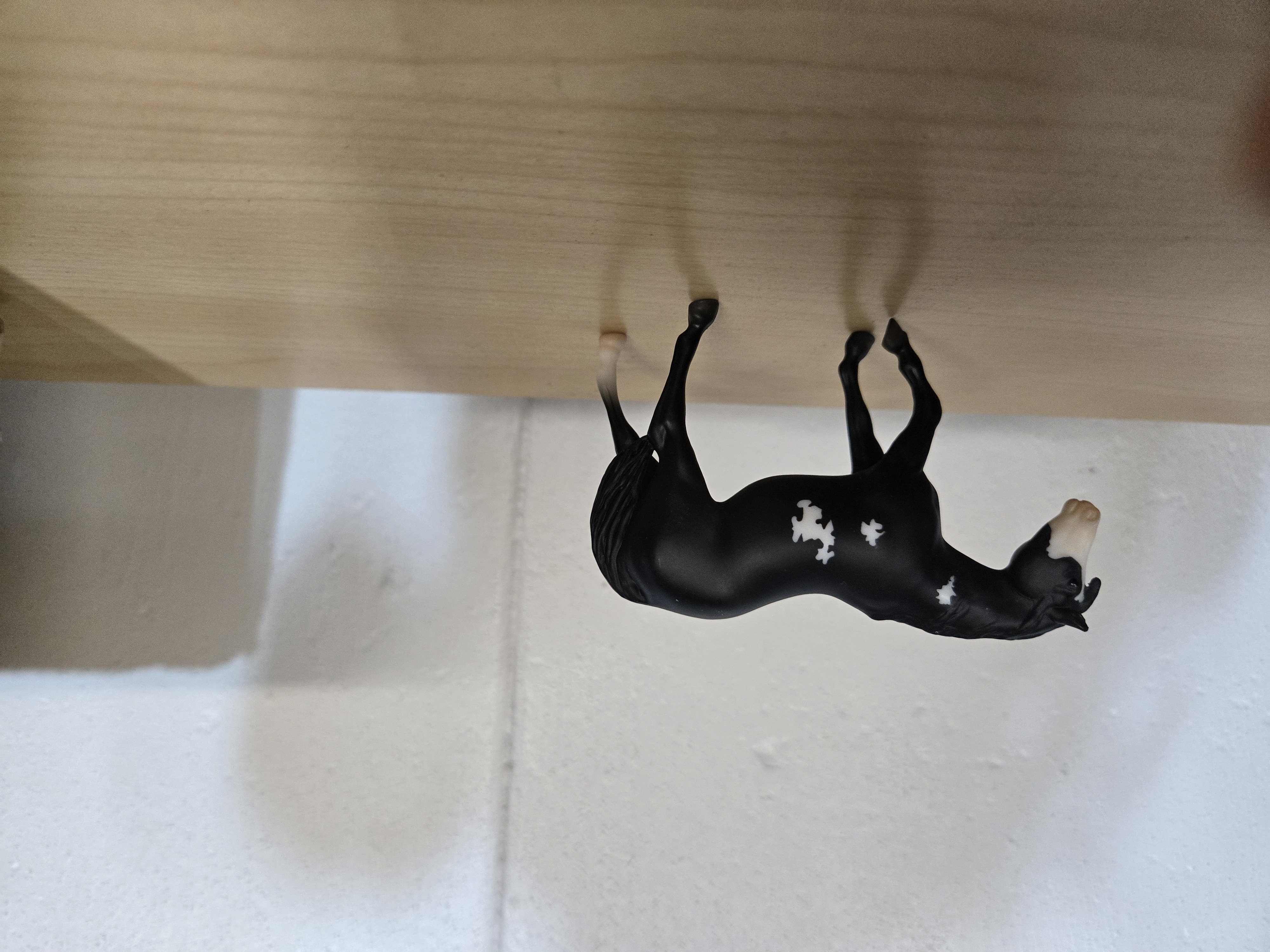 2025 TSC Stablemates #10337-LA-paint